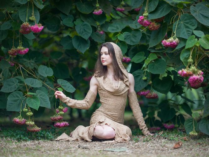 游戏直播-峡谷风云